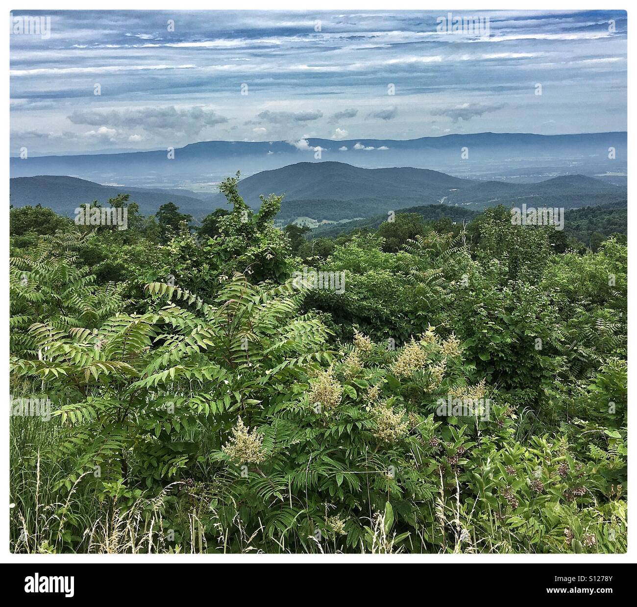 Mountain scenic de la Blue Ridge Mountains et la vallée de Shenandoah en Virginie, USA Banque D'Images
