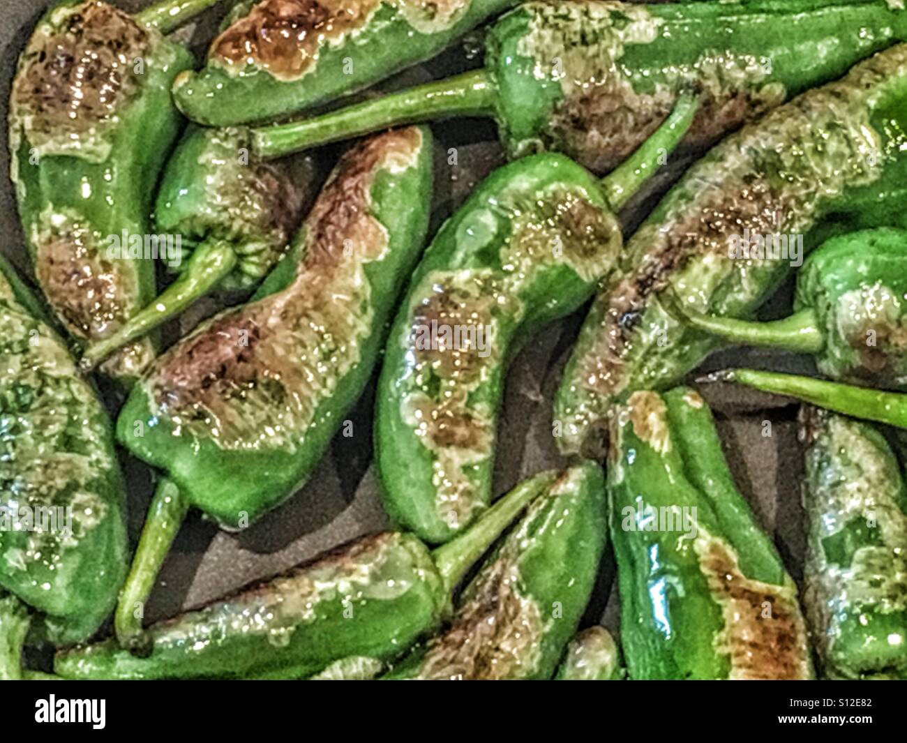 Padron poivrons, une spécialité galicienne. Frits dans l'huile d'olive. - Image de stock capturée avec un smartphone