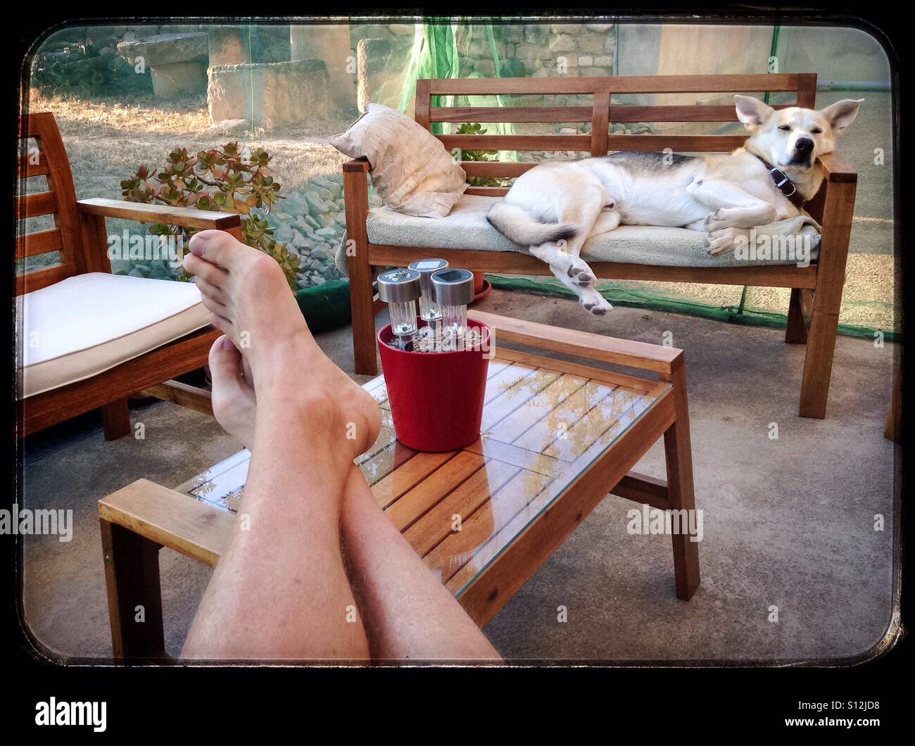"C'est une vie de chien...' - Image de stock capturée avec un smartphone