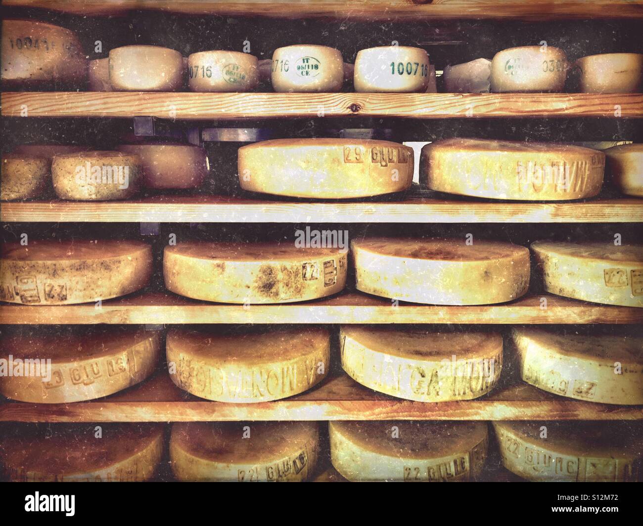 Fromage Montasio sur des étagères à Malga Montasio, Italie. La croûte est estampillé avec la date de production. Banque D'Images