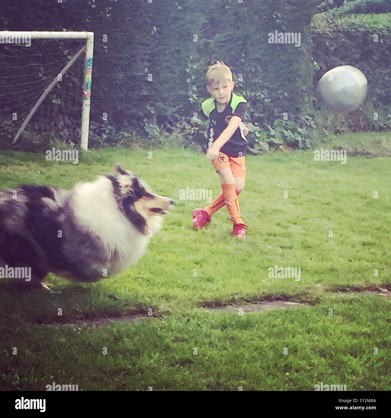 Garçon et son chien jouant au football dans le jardin. Banque D'Images