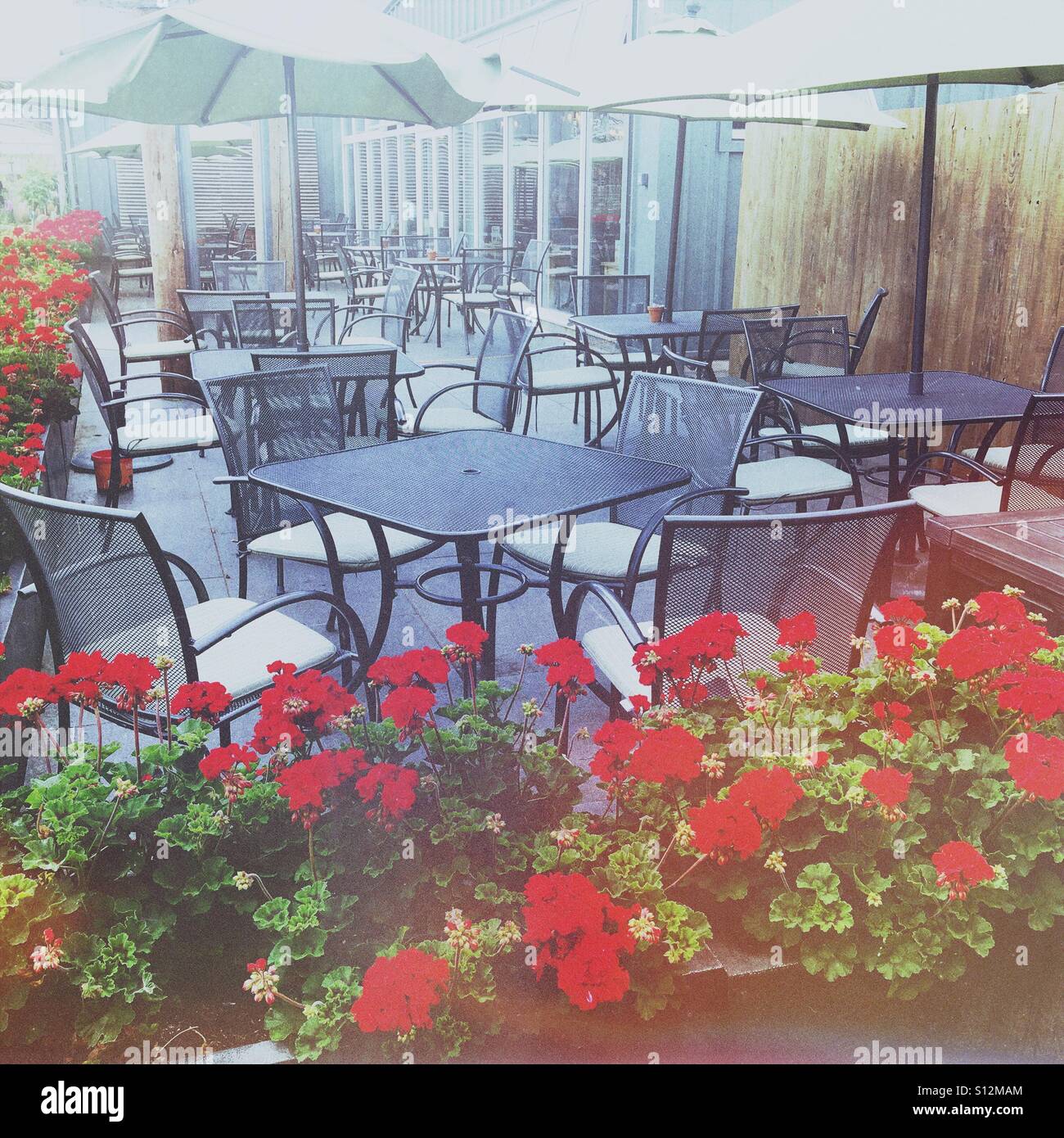 Plus de parapluies patio extérieur salle à manger du restaurant, entouré de géraniums rouges. Stratford-upon-Avon, Warwickshire, Angleterre, Royaume-Uni. Banque D'Images