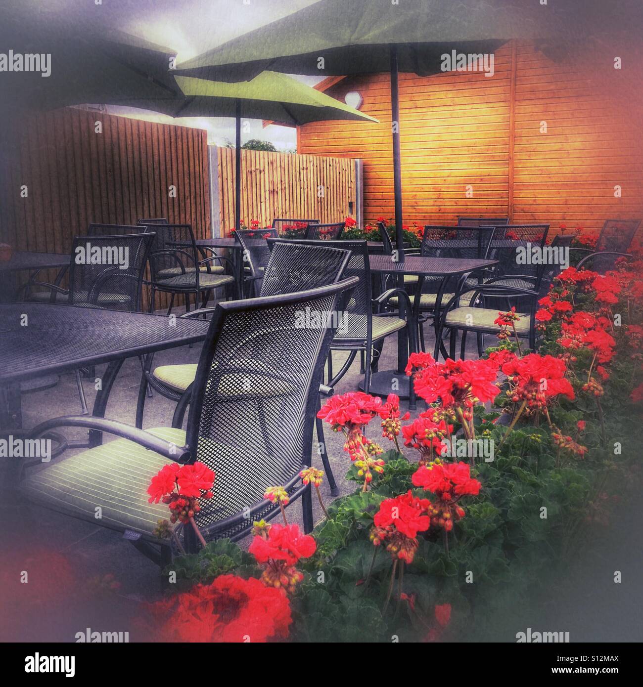 Plus de parapluies patio extérieur coin repas d'un centre de jardin café / restaurant, entouré de géraniums rouges. Stratford-upon-Avon, Warwickshire, Angleterre, Royaume-Uni. Banque D'Images