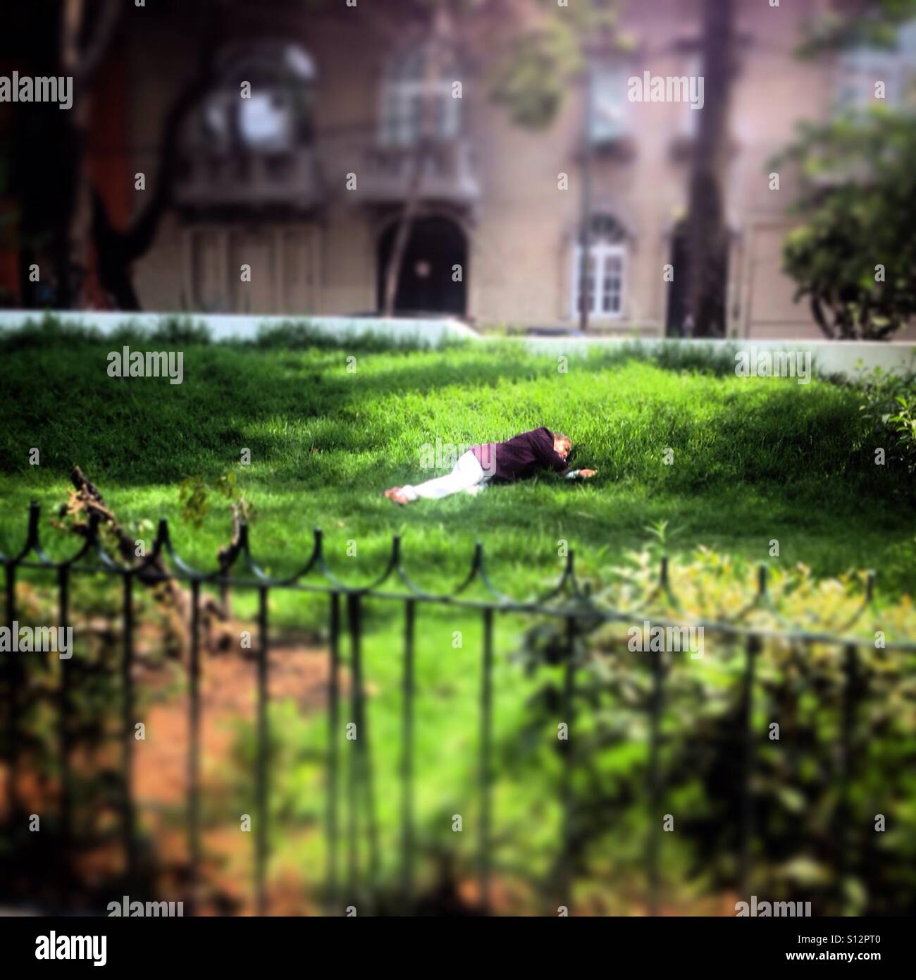 Une personne dort sur l'herbe dans un parc à Colonia Roma, Mexico, Mexique Banque D'Images