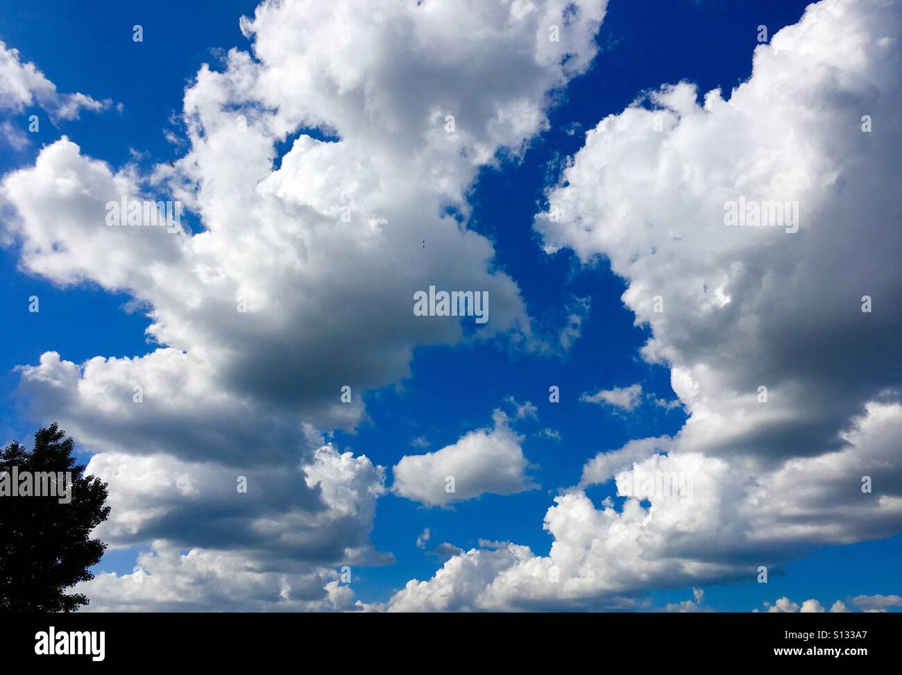 Journée ensoleillée avec des nuages et des arbres Banque D'Images
