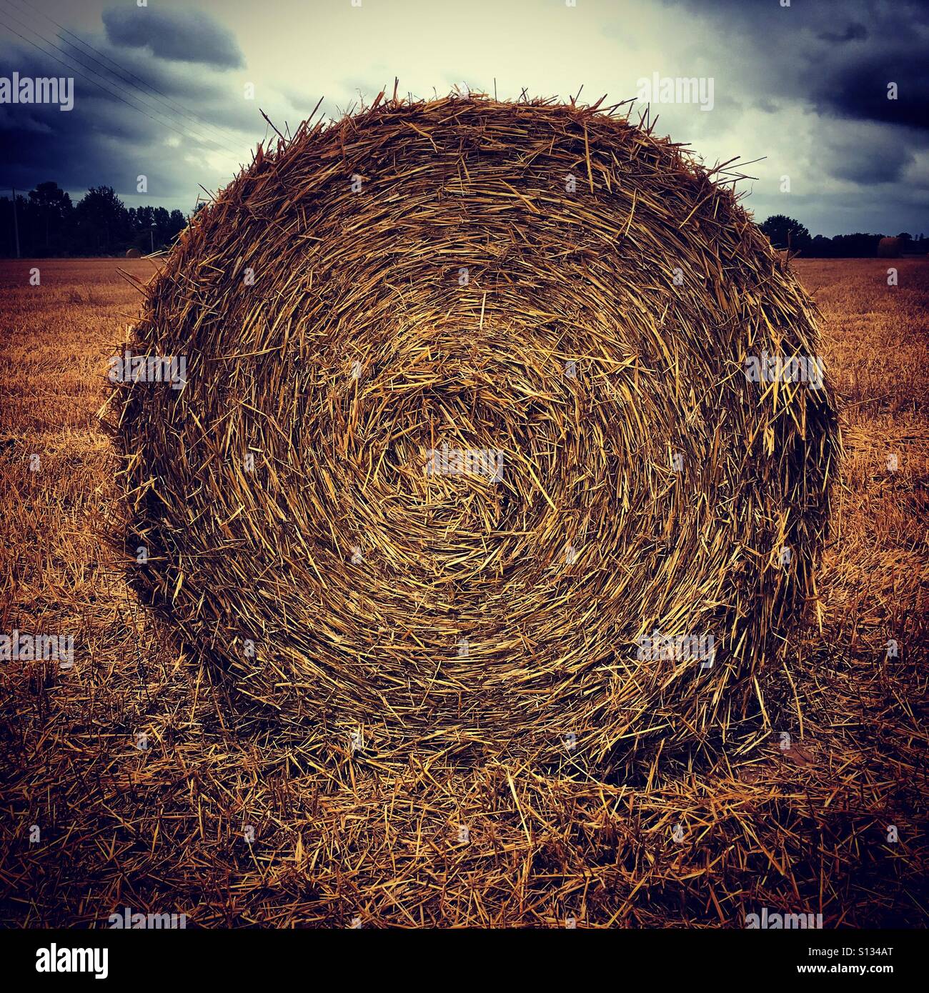 Presse à balles rondes de paille - Image de stock capturée avec un smartphone