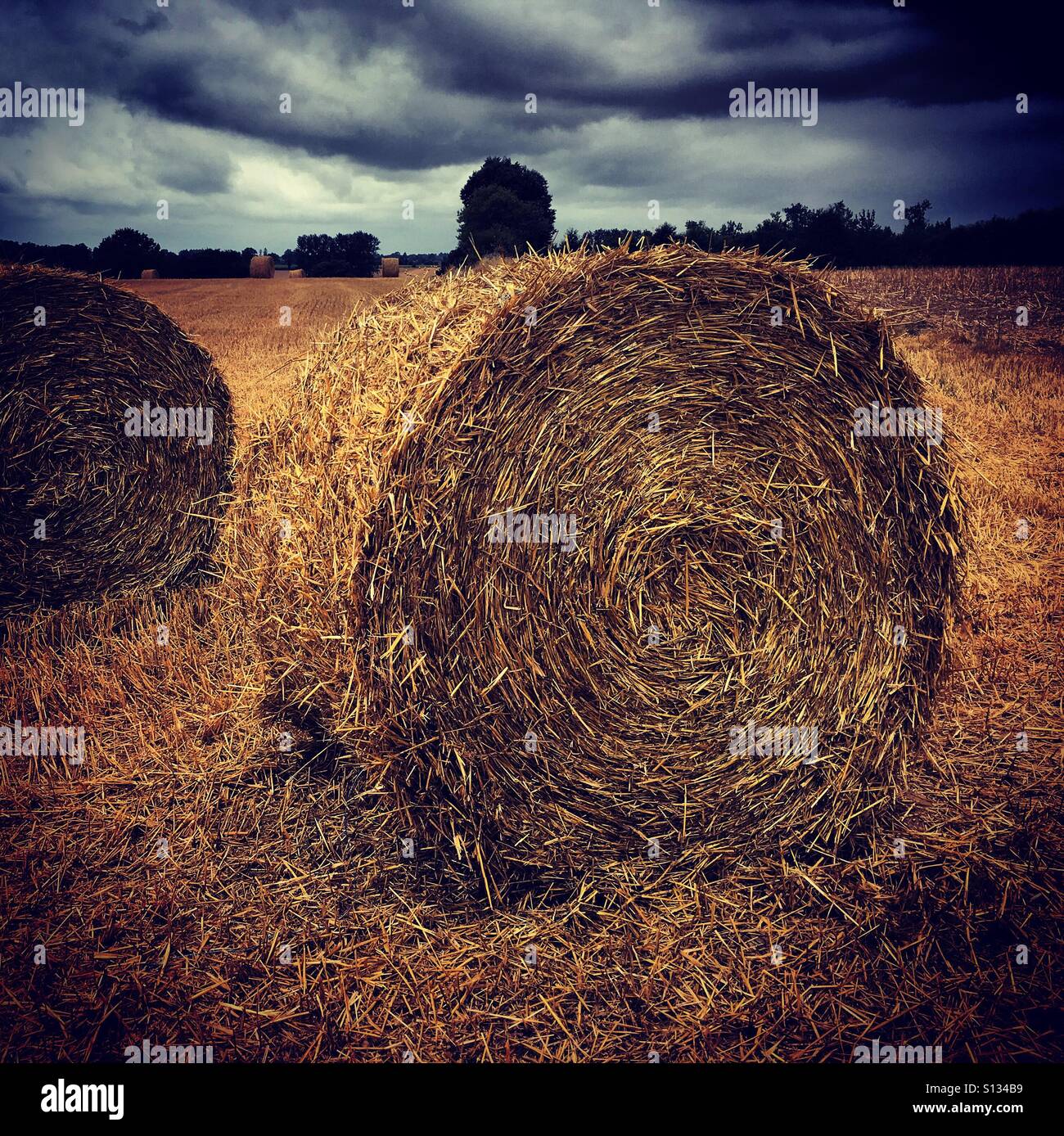 Les presses à balles rondes de paille - Image de stock capturée avec un smartphone