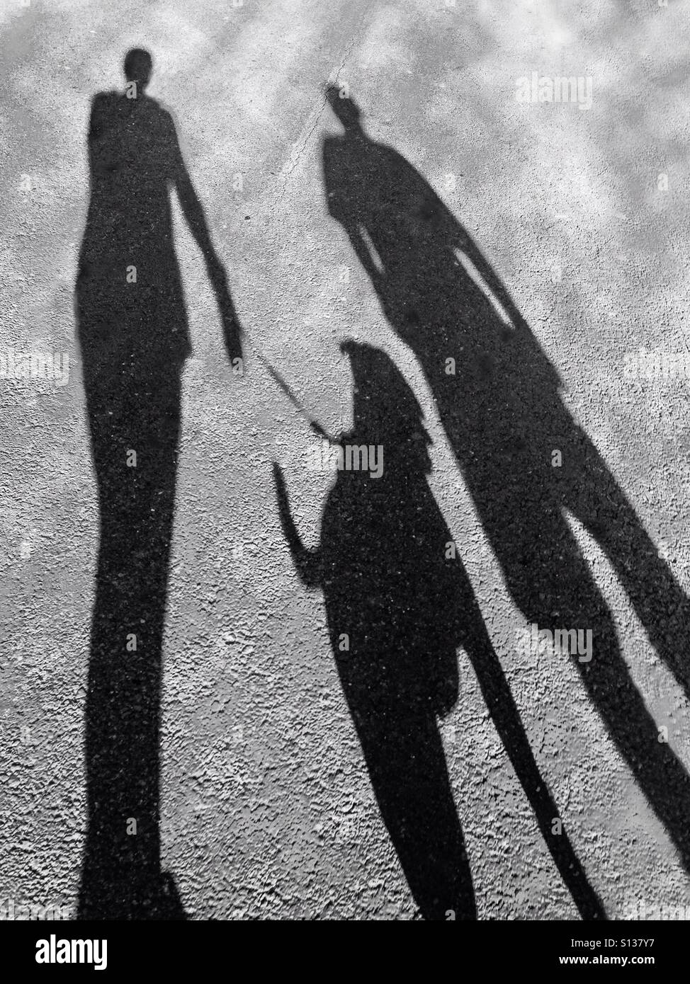 De longues ombres d'un couple en train de marcher un chien. - Image de stock capturée avec un smartphone