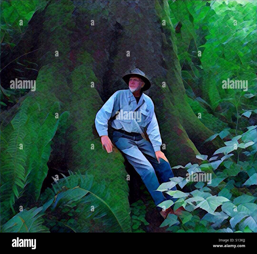 Homme avec chapeau assis sur grand arbre - Image de stock capturée avec un smartphone