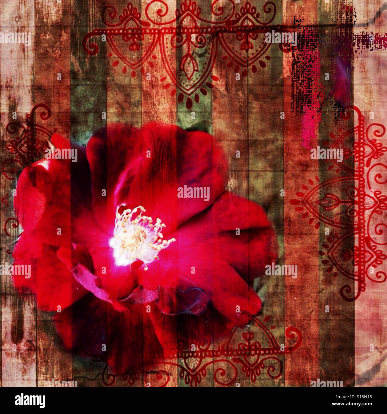 Mauve, fleur, fantasy, iPhone, photo, texturé, arrière-plan avec les effets de couleur, et l'indienne graphiques Banque D'Images