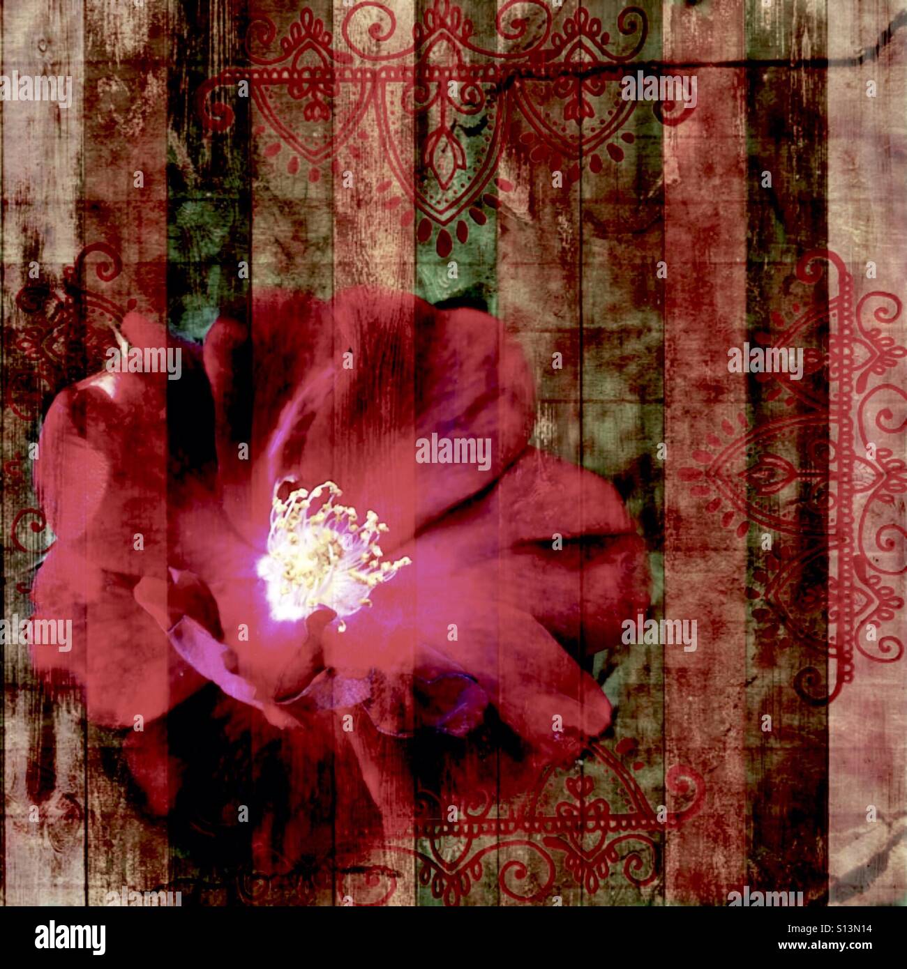Mauve, fleur, fantasy, iPhone, photo, texturé, arrière-plan avec les effets de couleur, et l'indienne graphiques Banque D'Images