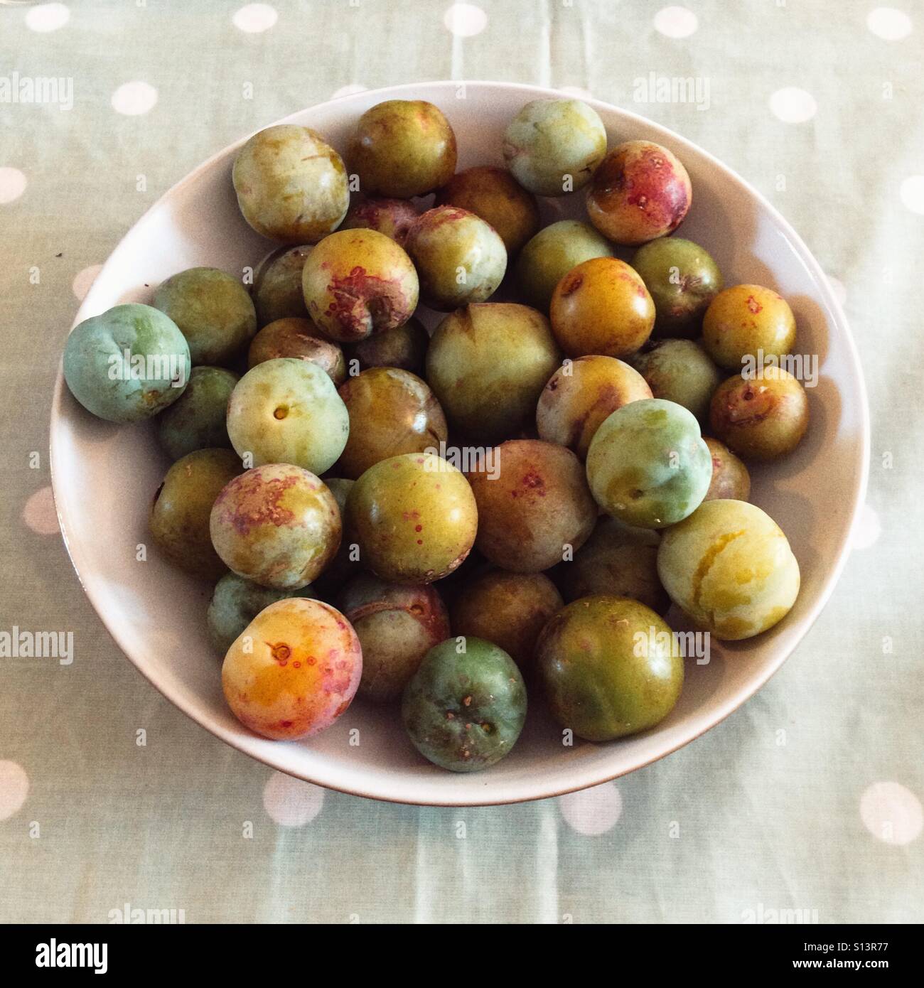 Bol de homegrown greengage prunes - Image de stock capturée avec un smartphone