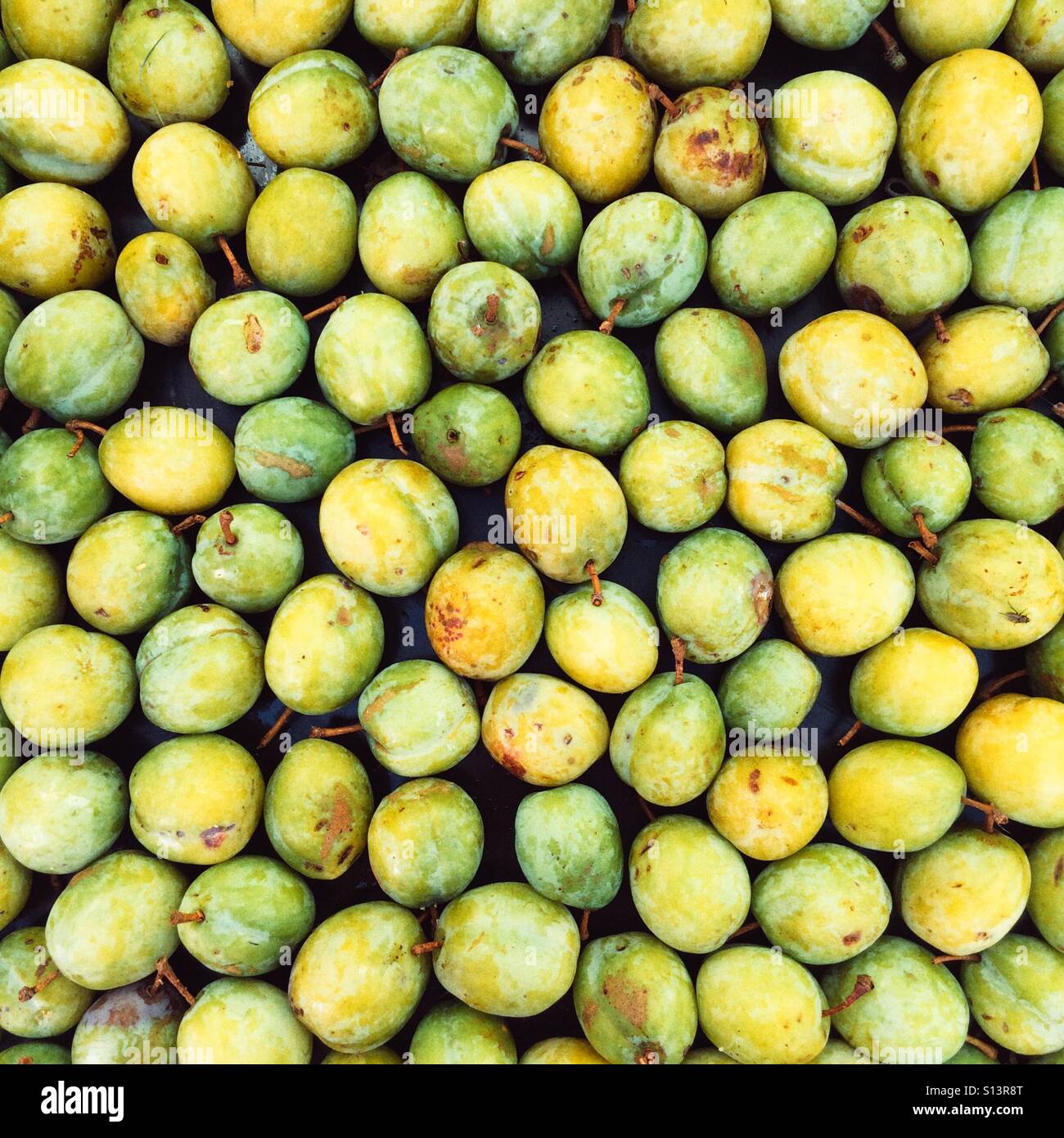 Début des cours d'eau les prunes - Image de stock capturée avec un smartphone