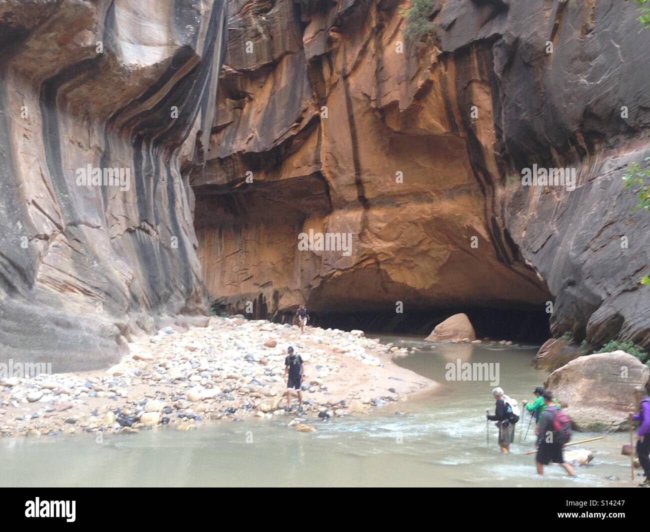 Les randonneurs traversent la rivière vierge, Zion National Park Banque D'Images