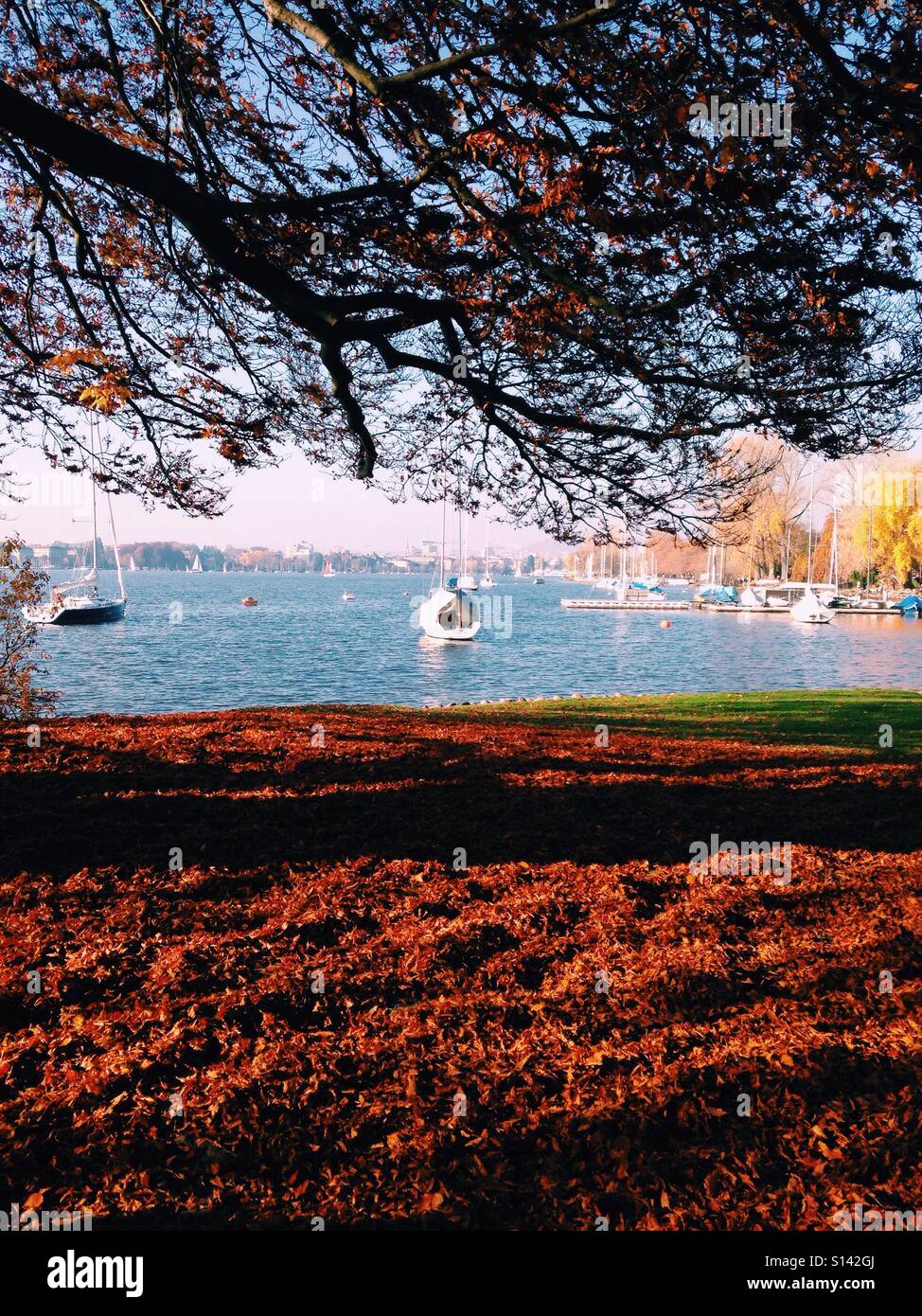 L'automne par le lac de Zurich Banque D'Images