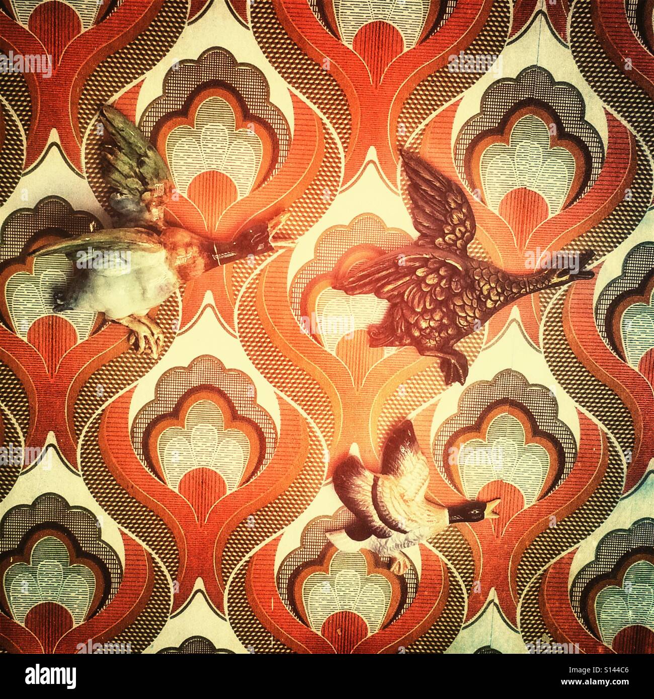 Ornements de canard hanging on wall Banque D'Images