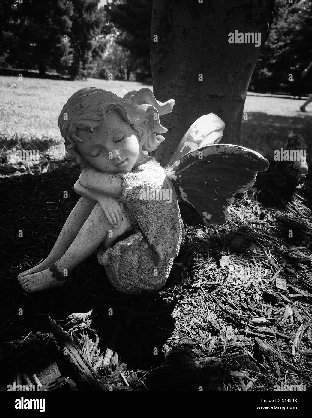 Un conte à dormir sous un arbre. Banque D'Images