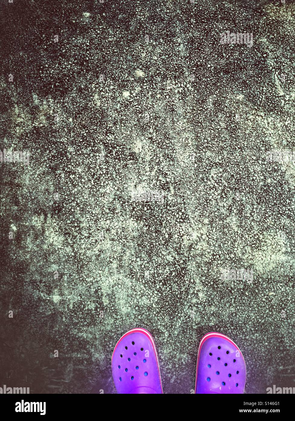 Chaussures violet sur surface goudronnée Banque D'Images