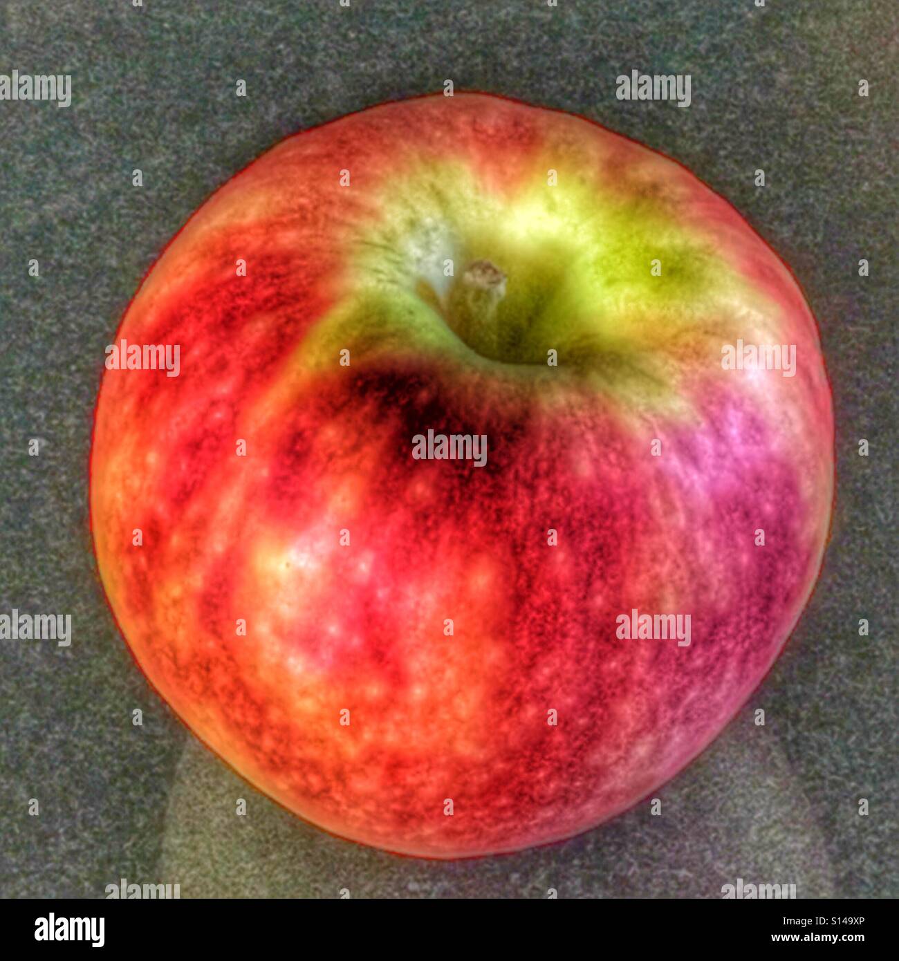 Pomme Pink Lady, mûr et prêt à manger. Banque D'Images