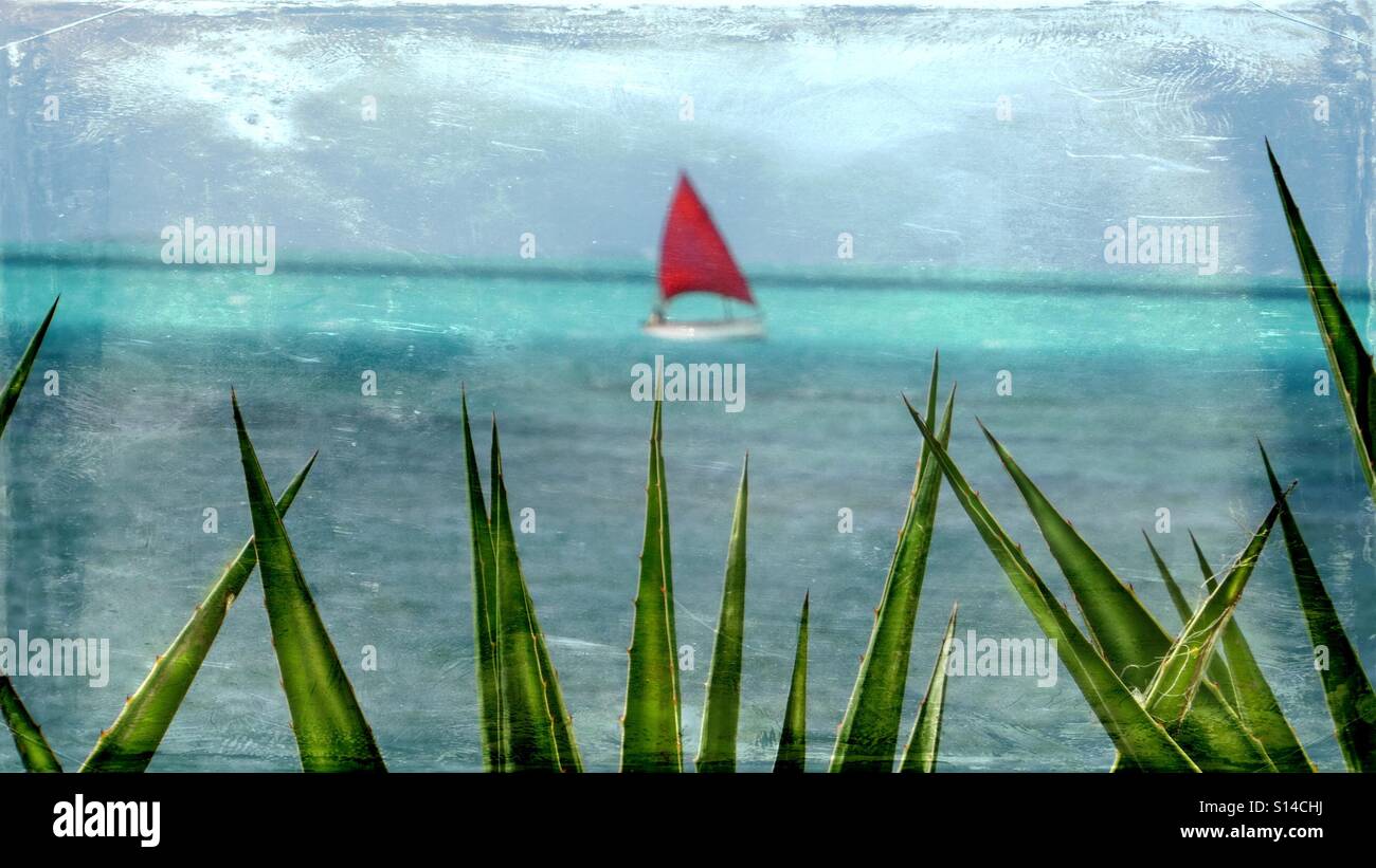 Les couleurs de l'Ile Maurice ! - Image de stock capturée avec un smartphone