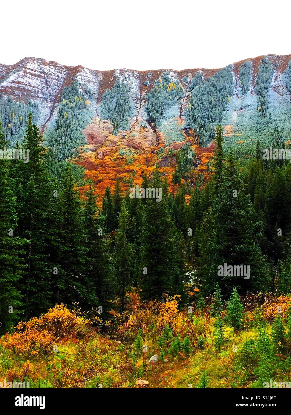 Splendeur d'automne dans les Rocheuses canadiennes - Image de stock capturée avec un smartphone