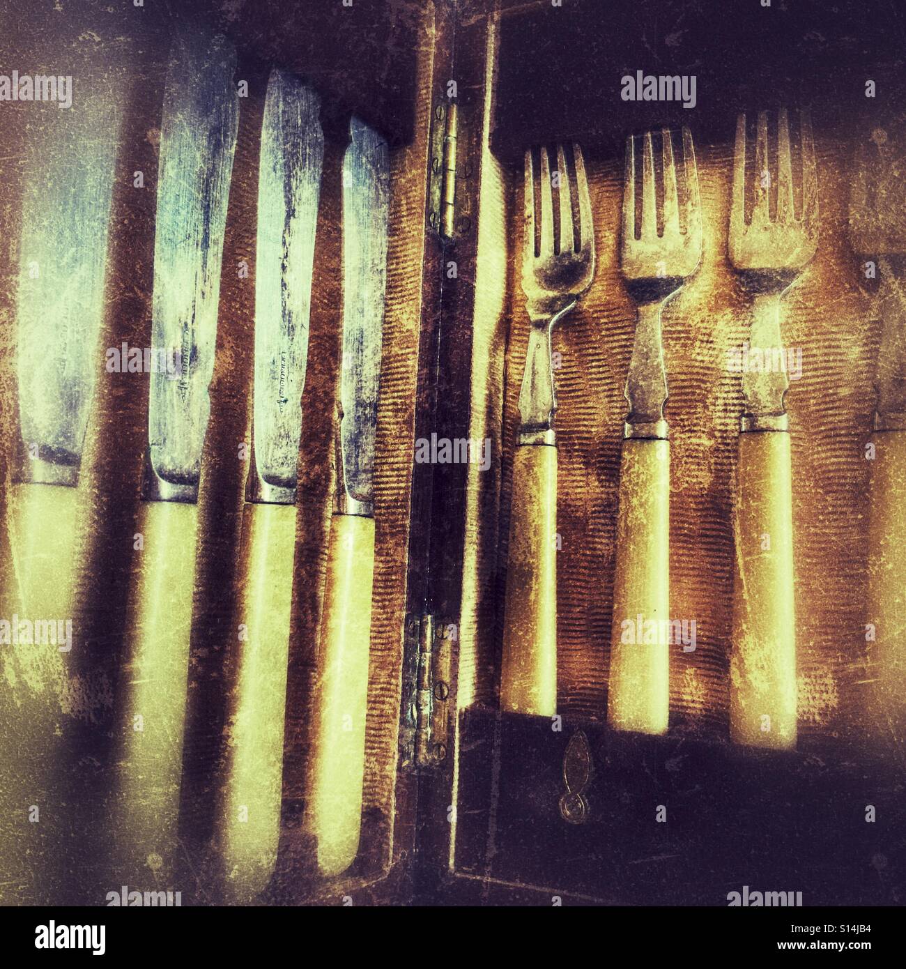 Un coffret de couteaux et fourchettes de poissons. - Image de stock capturée avec un smartphone