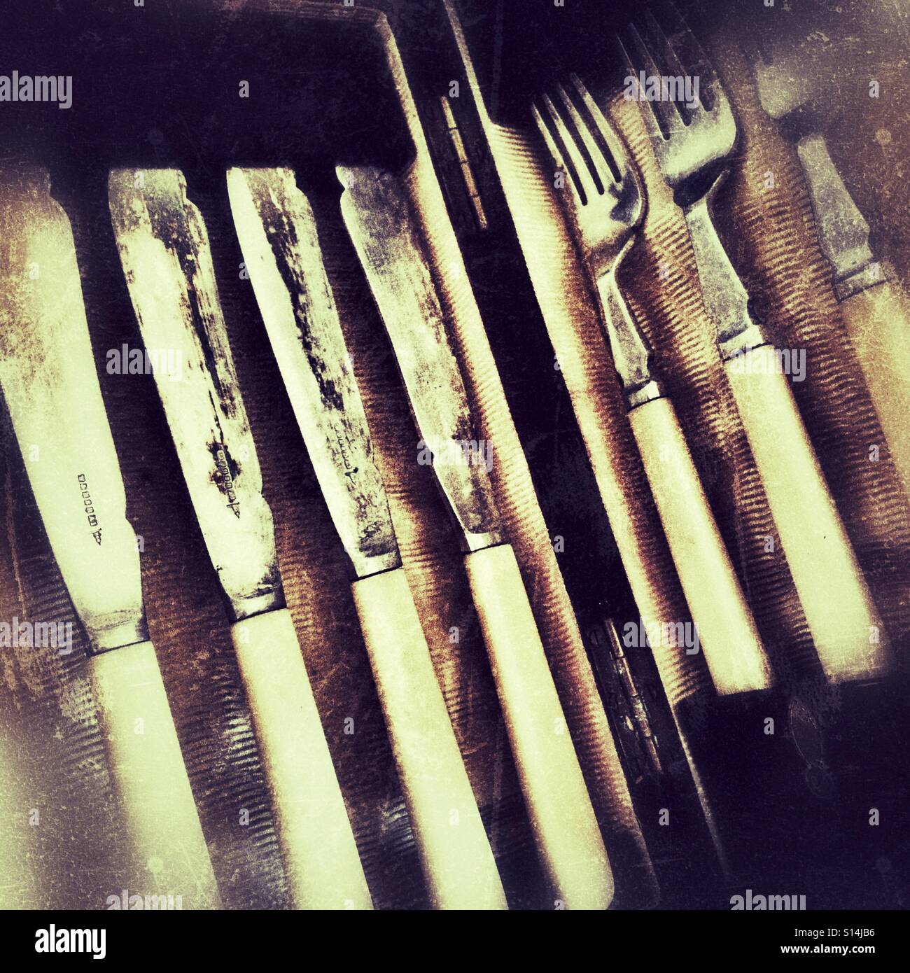 Un coffret de couteaux et fourchettes de poissons. Banque D'Images