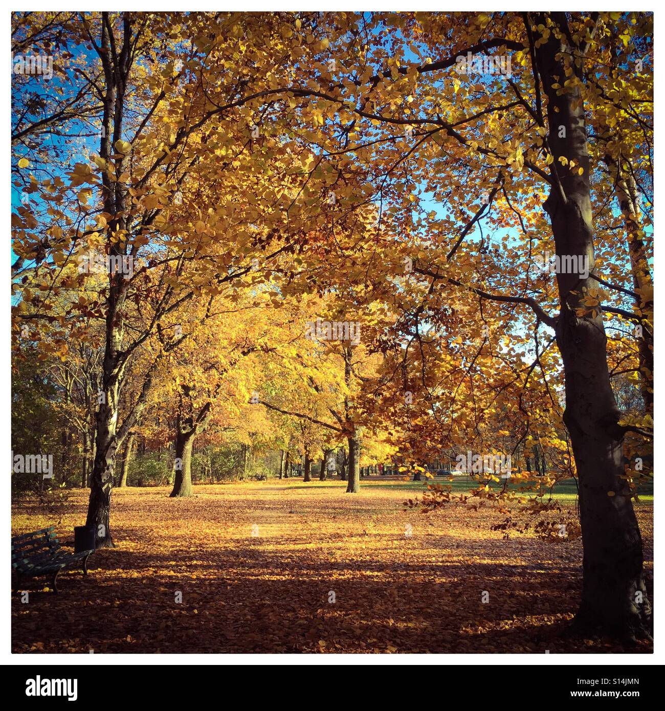 Automne de Berlin Banque D'Images