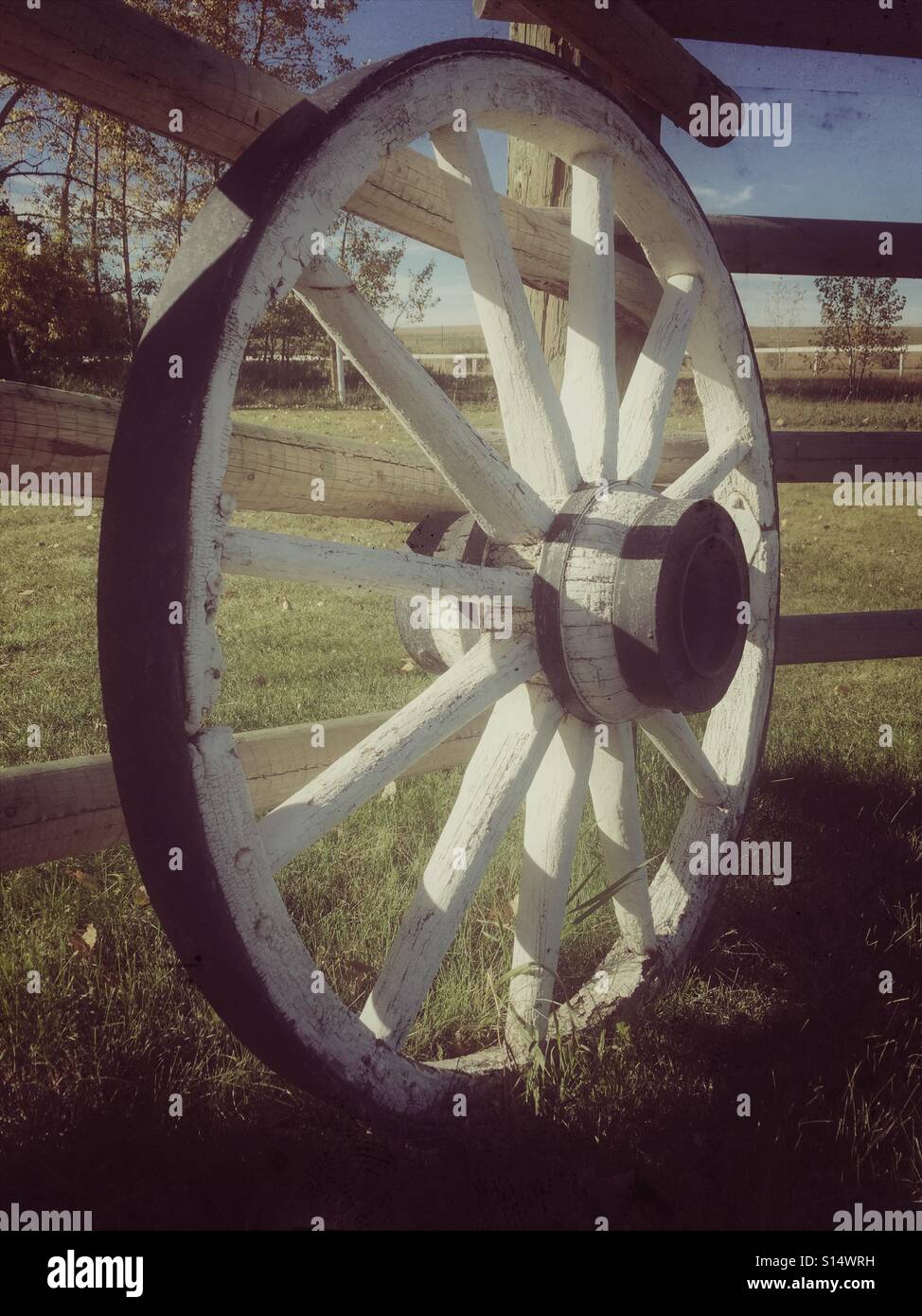 Une roue de chariot est contre une clôture. Banque D'Images