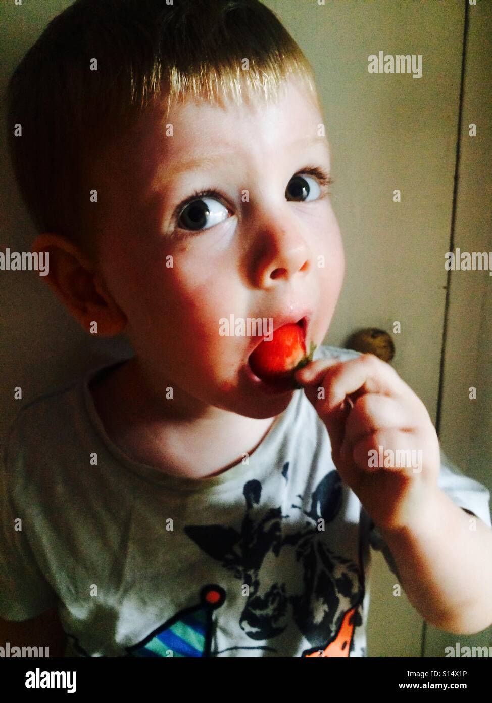 Little Boy eating strawberry Banque D'Images