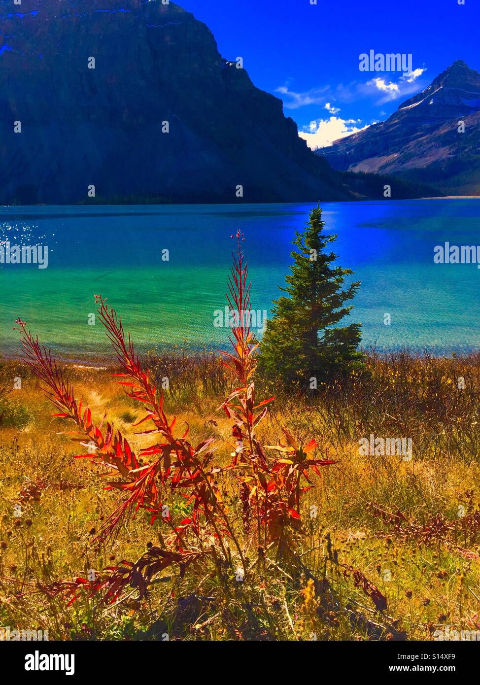 Automne au lac Bow, Banff National Park, Alberta, Canada - Image de stock capturée avec un smartphone