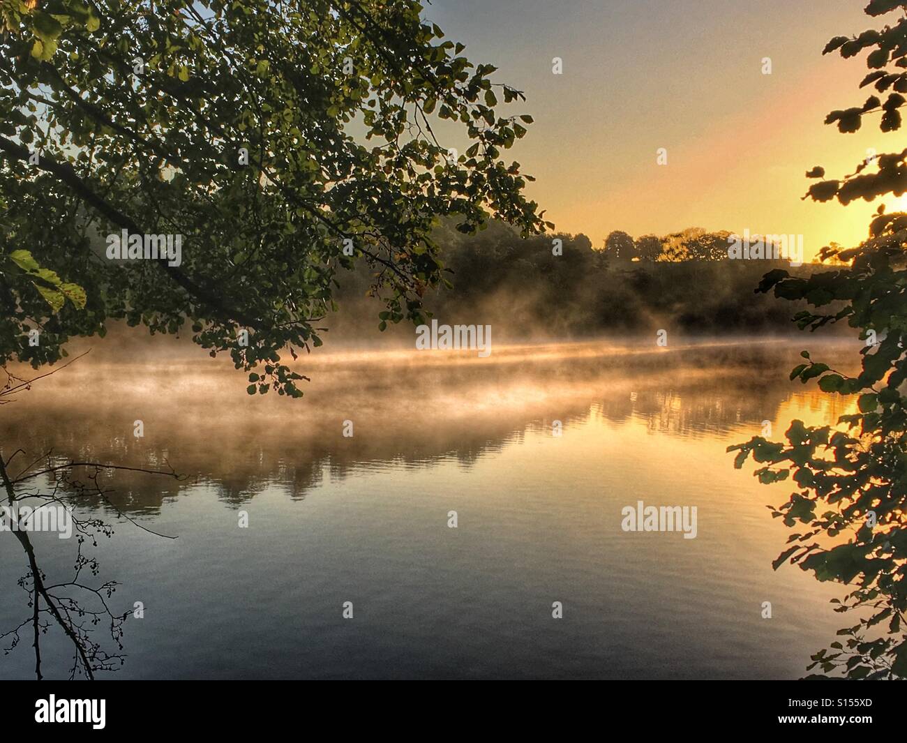 Morning Mist Automne Banque D'Images