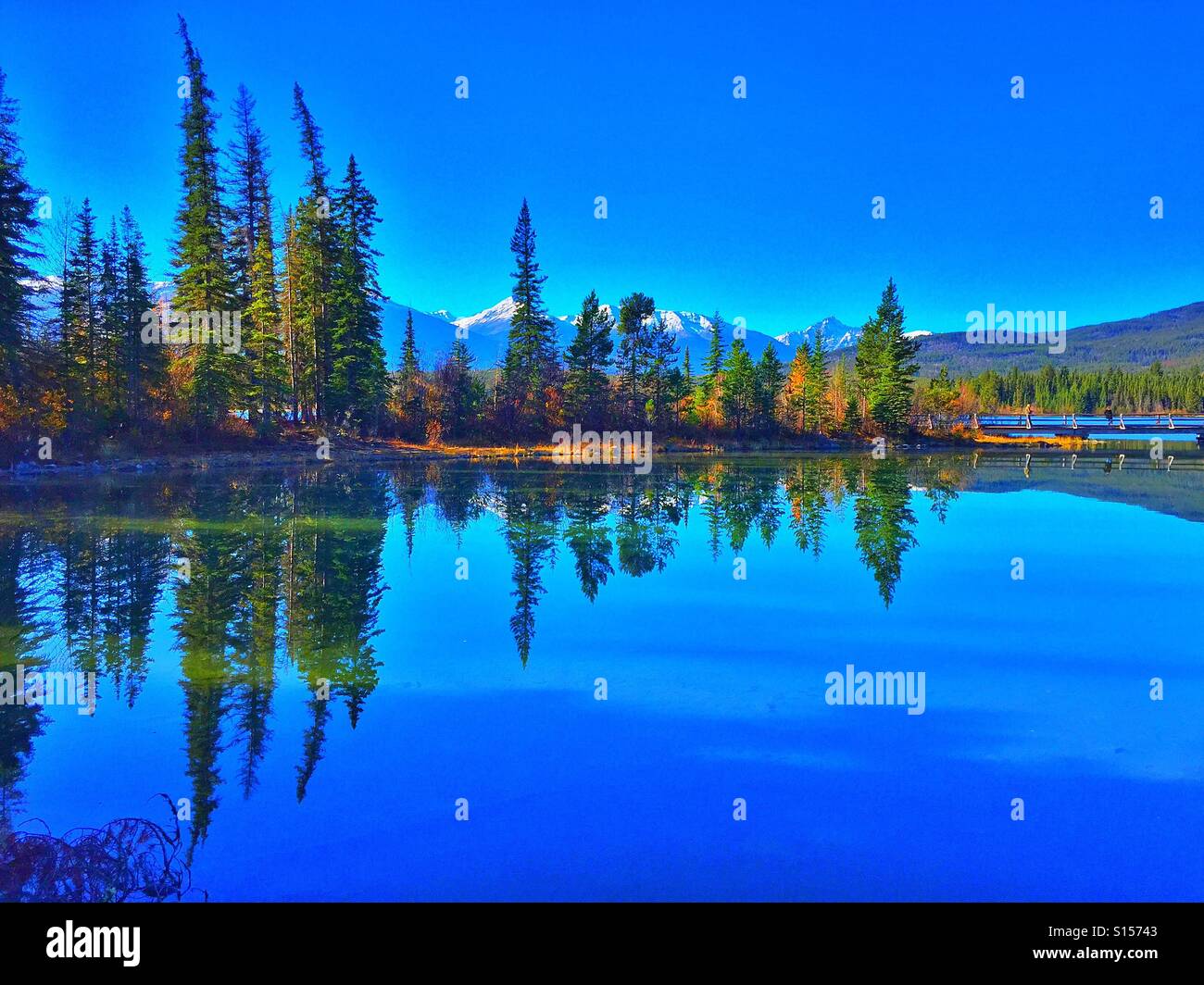 Evergreen réflexions à Pyramid Lake - Image de stock capturée avec un smartphone