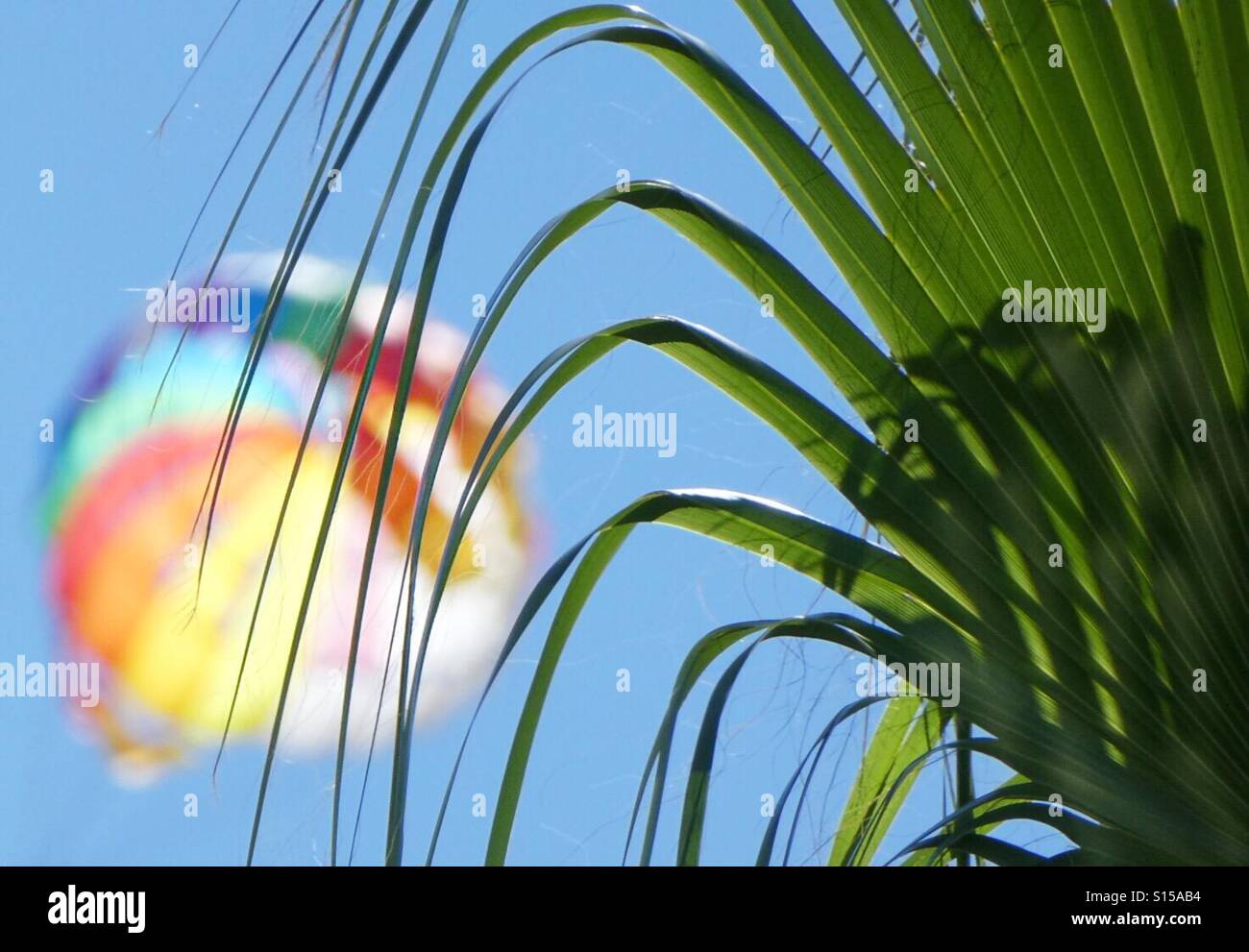 Sun Light de l'été ! - Image de stock capturée avec un smartphone