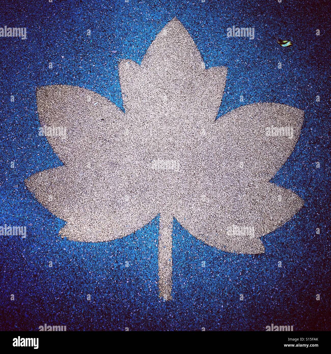 Forme des feuilles OSK - Image de stock capturée avec un smartphone