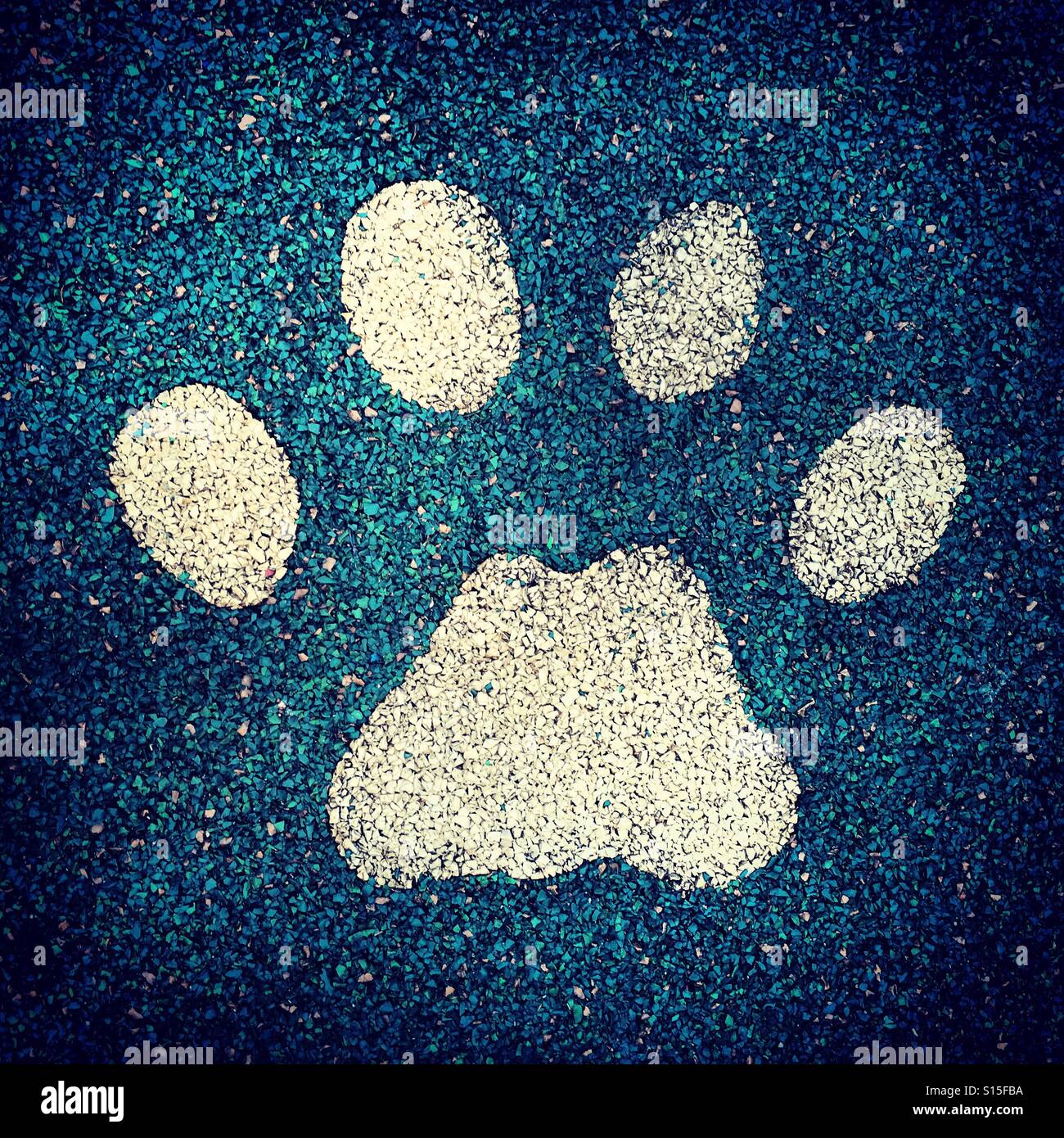 Étape d'empreinte simple d'une forme de patte d'animal sauvage, symbole félin de chat Banque D'Images