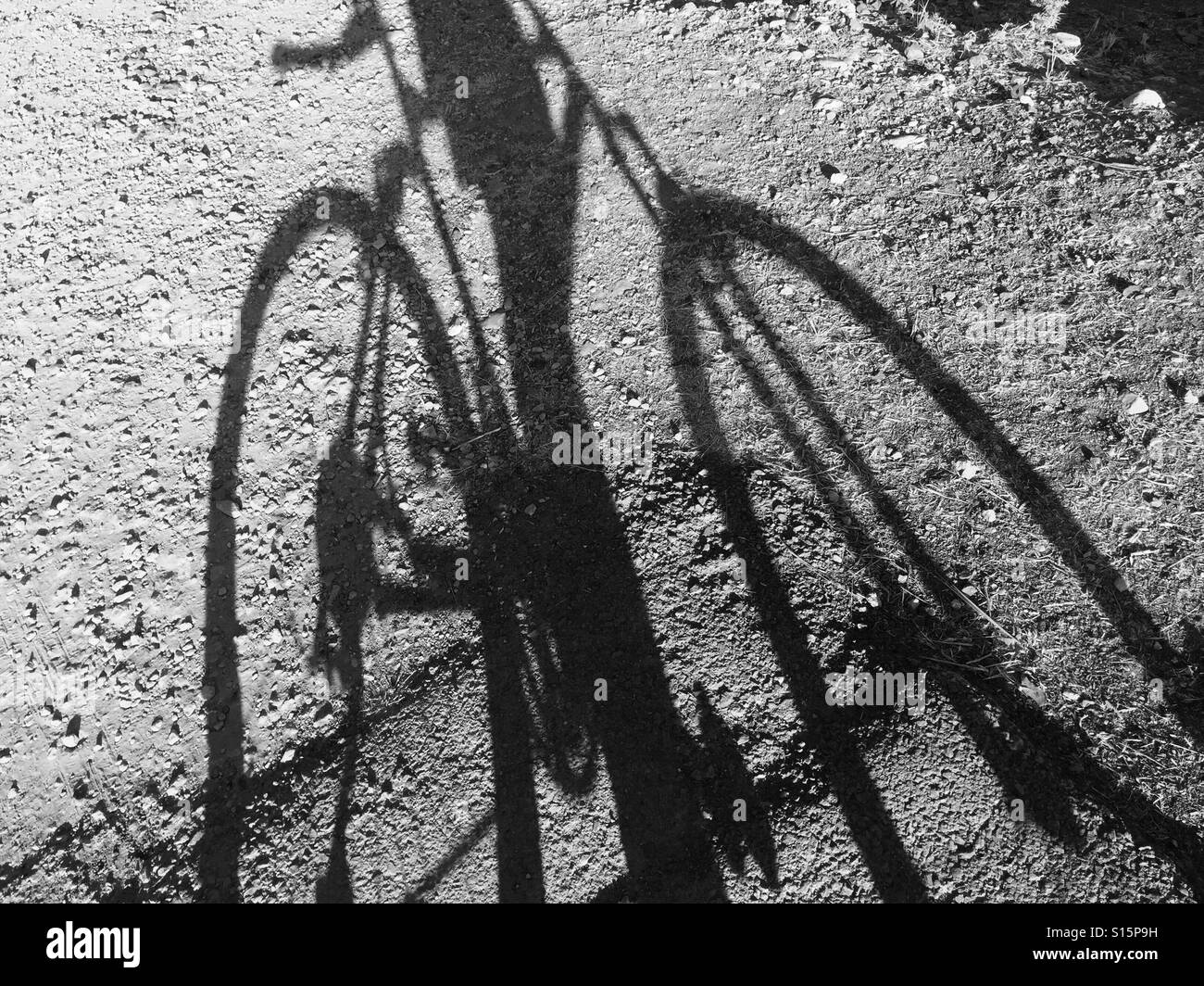 Ombre de vélo Banque D'Images