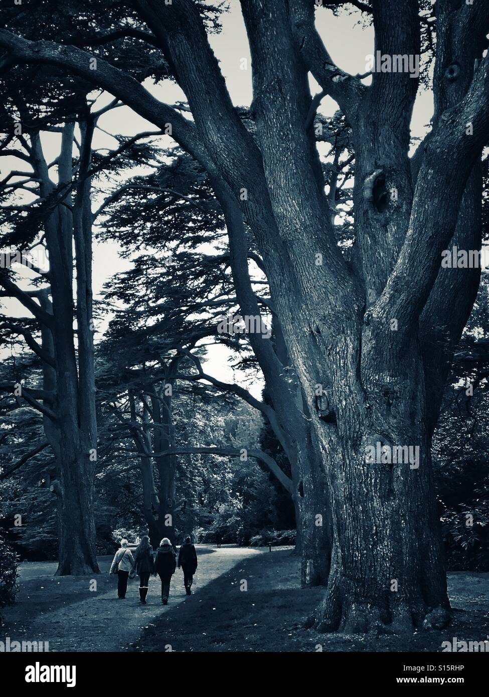 Photo parler durant un après-midi de marche à Clumber Park Banque D'Images