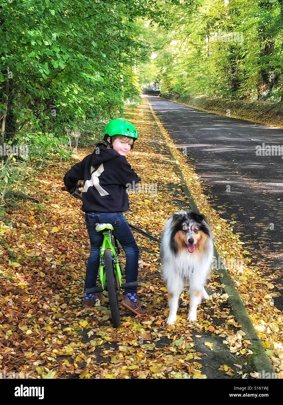 Un garçon et son chien sur un automne à pied et à vélo. Banque D'Images