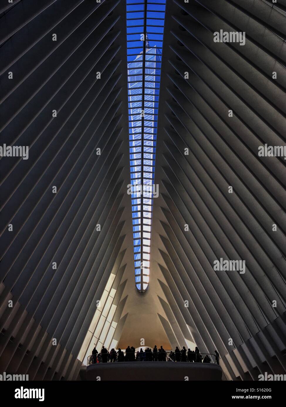 One World Trade Center, New York, vue à travers le toit de l'Oculus, centre commercial Westfield. Banque D'Images