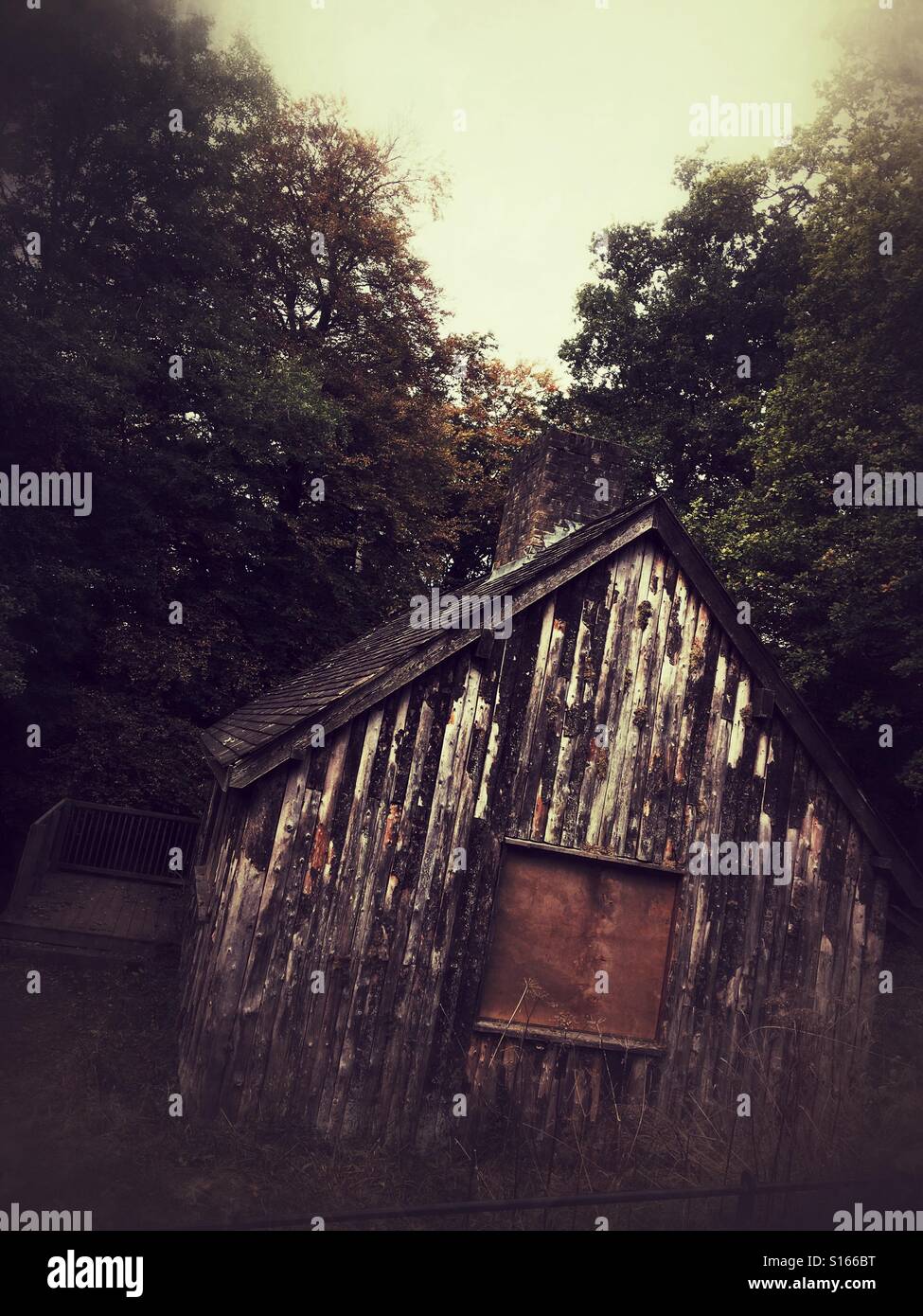 Vieille maison dans les bois Banque D'Images