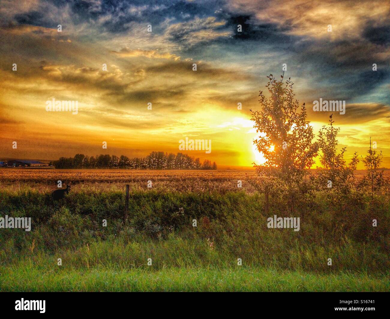 What dreams may come Banque de photographies et d’images à haute résolution Alamy