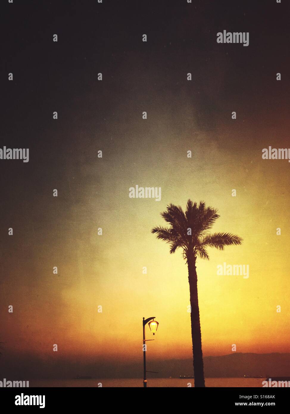 La silhouette du palmier et lampadaire au coucher du soleil Banque D'Images