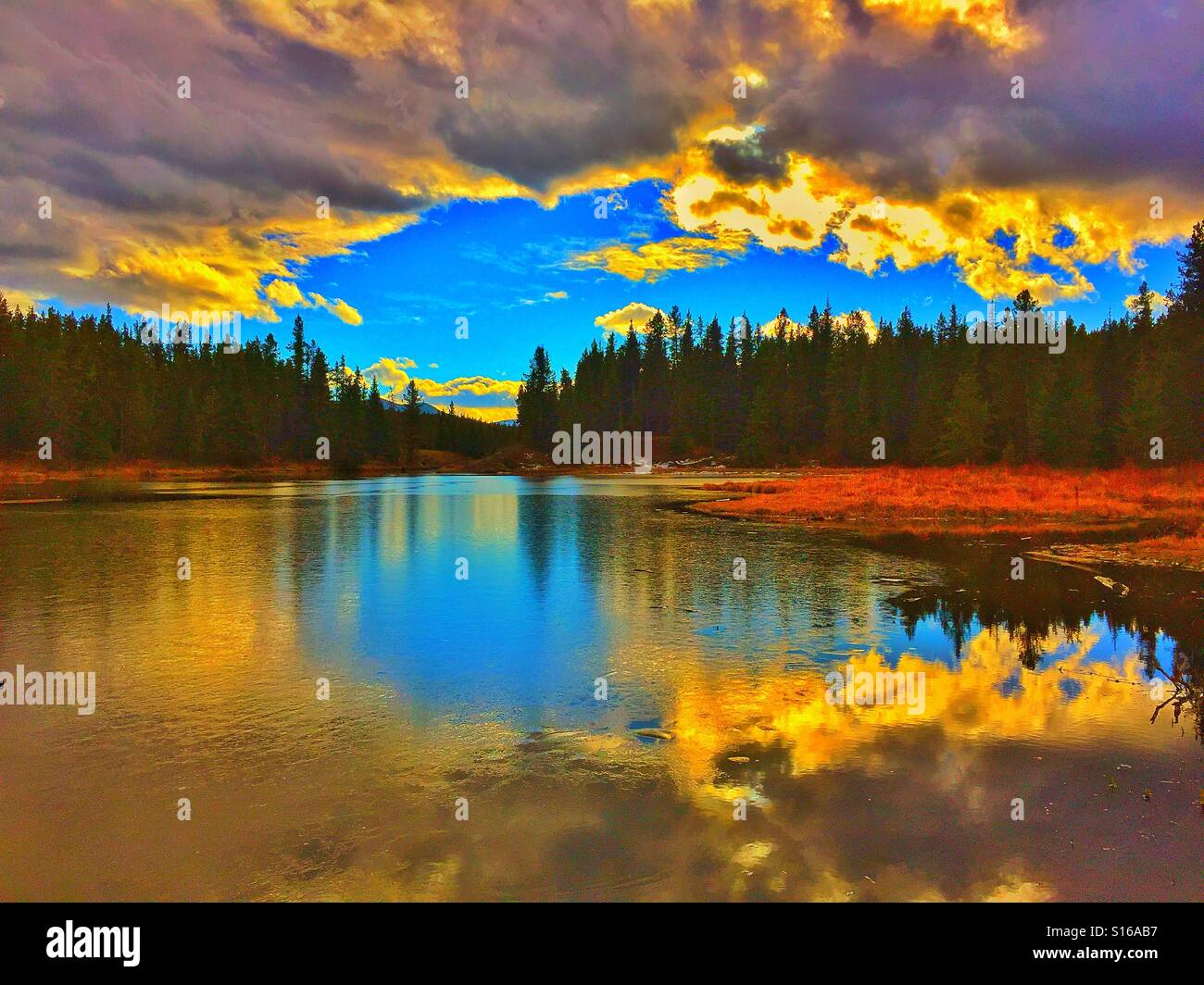 Réflexions étang McLean - Image de stock capturée avec un smartphone