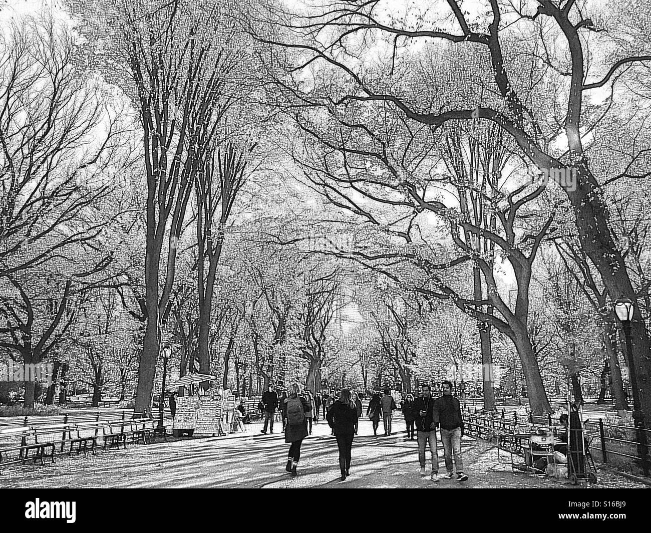 Les visiteurs du parc profitez des poètes à pied, noir et blanc, Central Park, NYC Banque D'Images