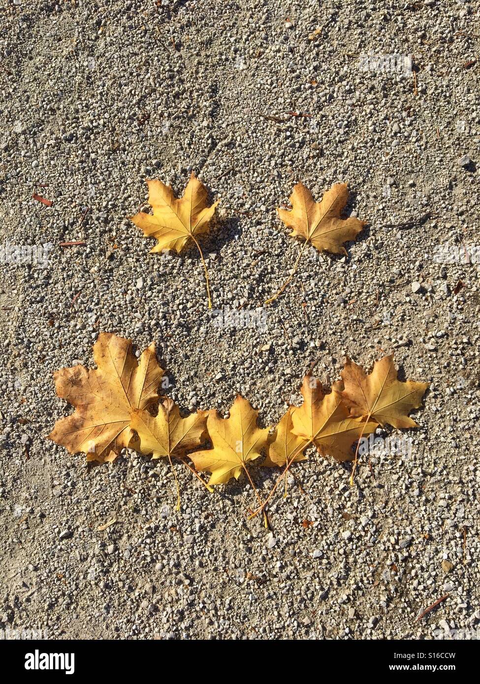 Sourire formés de feuilles - Image de stock capturée avec un smartphone