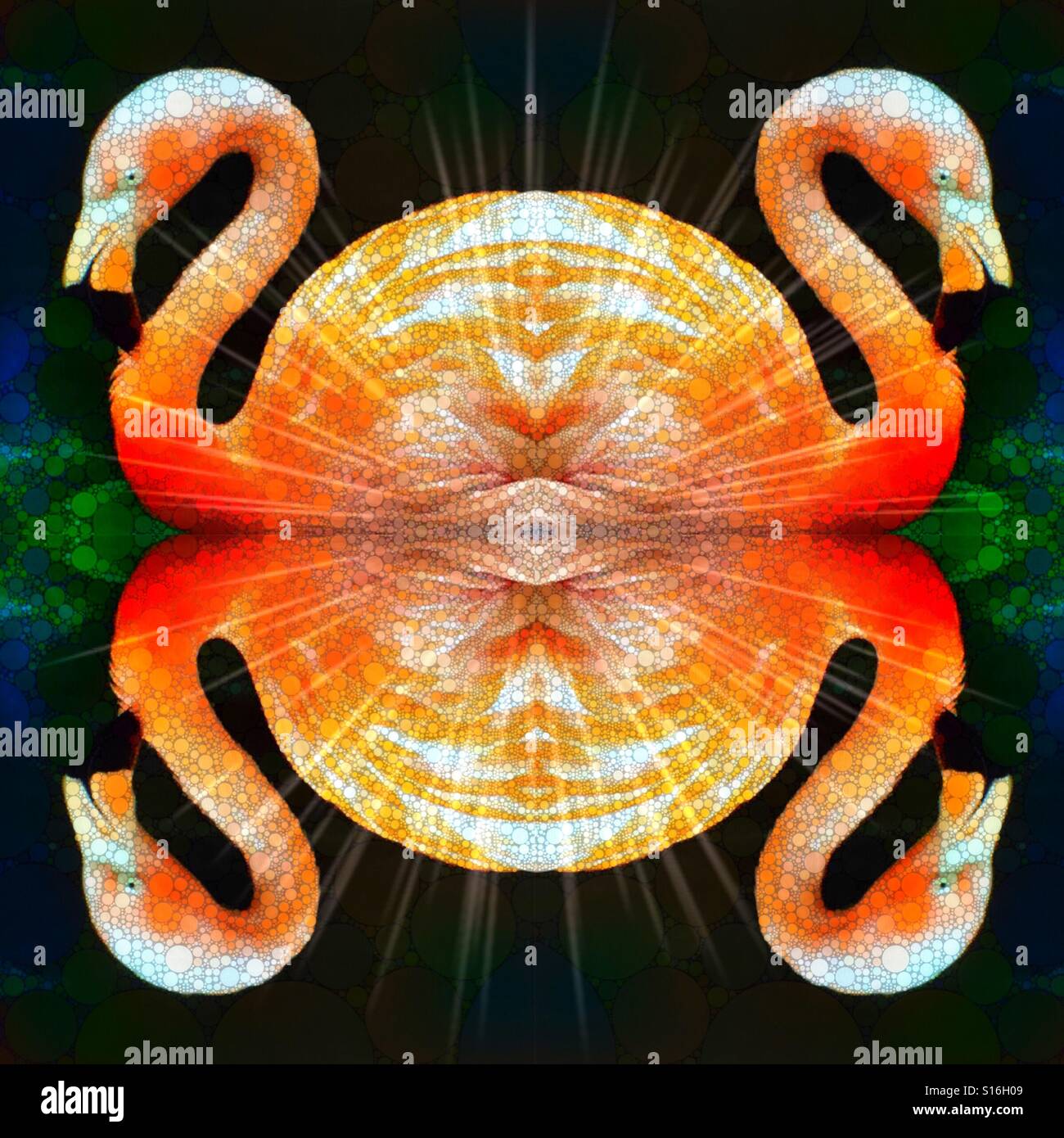 Un tableau abstrait avec un design symétrique de quatre flamants. orange colorés Banque D'Images