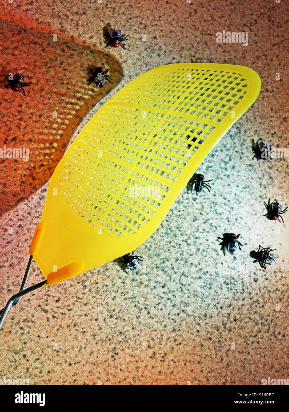 Fly swatter tuant vole sur le comptoir de la cuisine Banque D'Images