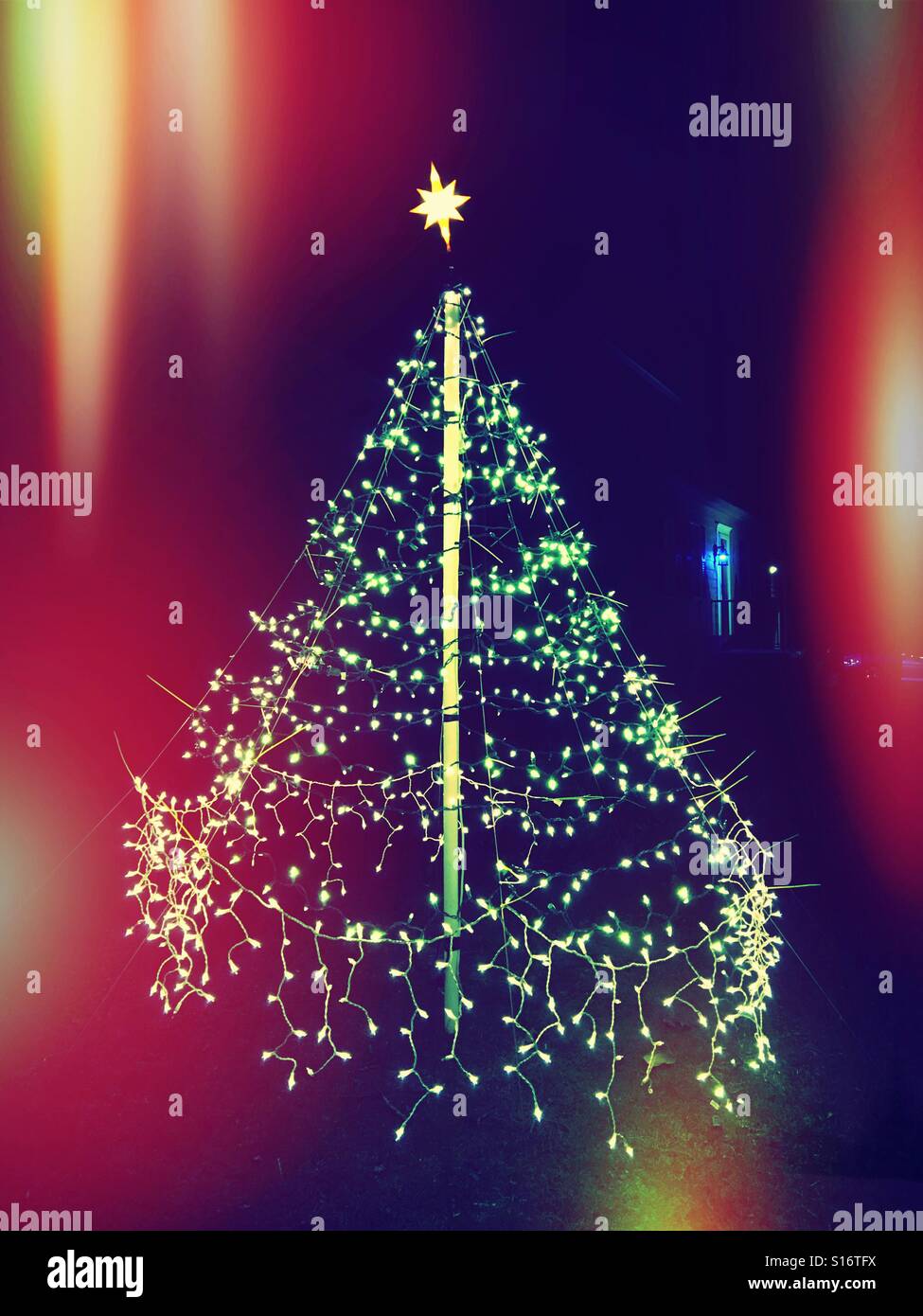 Lumières de Noël dans la forme d'un arbre de Noël sur une pelouse. Banque D'Images