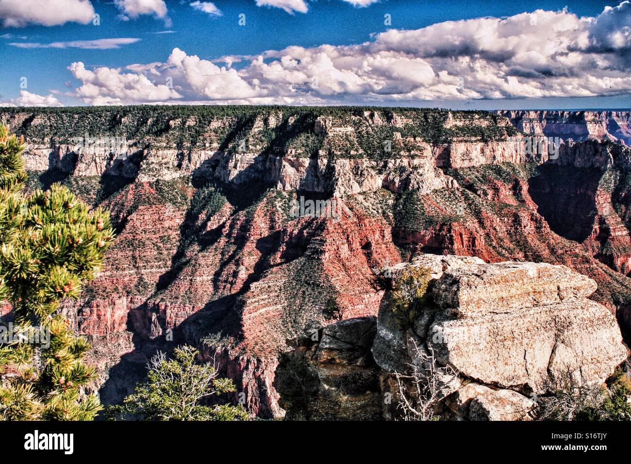 Canyon de rêver. Banque D'Images